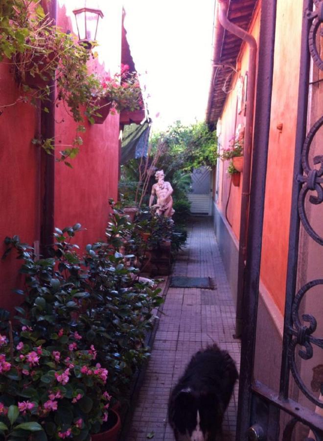 Casa "Oasi" Centro Storico Apartment Tuscania Exterior foto